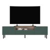 Shannan MIX RTV KAMA160 TV stalak, 43x160x40 cm, hrast-zeleni