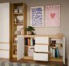 Shandro 2D3S komoda, 120x75x40 cm, hrast-bijela 