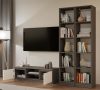 Rialto RTV120 TV stalak, 120x36x40 cm, antracit-bijela 